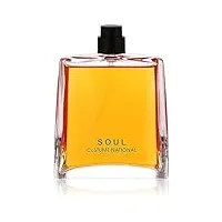 costume national parfum soul 100 ml