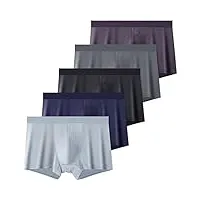 sdfgh 5pcs lot de grande taille men's mesh pantes trou coton coton sous-vêtements men boxer shorts fibre sous-pants homme sexy (color : multi-colored, size : l)