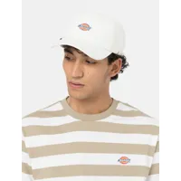 dickies casquette baseball hardwick homme gris nuage size one size