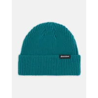 dickies bonnet woodworth homme aventurine size one size
