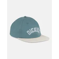dickies casquette baseball oxford unisex gris trooper size one size
