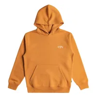 billabong arch hoodie orange 8 years garçon