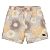 hurley cannonball volley 17´´ swimming shorts beige xl homme
