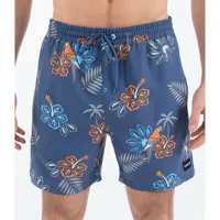 hurley cannonball volley 17´´ swimming shorts bleu xl homme
