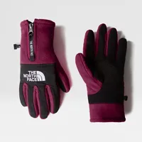the north face gants denali etip&#8482; boysenberry taille m