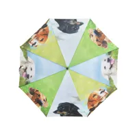 parapluie fantaisie motifs chiens