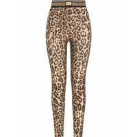 dolce & gabbana legging à imprimé léopard - marron