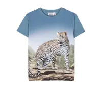 molo t-shirt en coton à imprimé léopard - bleu
