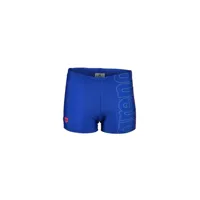 arena graphic swimming shorts bleu 8-9 years garçon